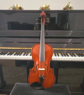 Bellafina Brvar10155of Roma Select Viola