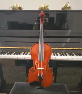 Brvar10155of Bellafina Roma Select Viola