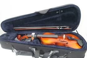 Carlo Robelli 843608026146 209 Series Violin 12 Inch