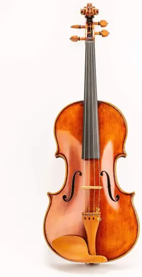 10783113 D Z Strad Viola Model N2011 Bow Case Rosin Shoulder Rest Size 16 Inch