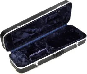 Ca75065 Eastman Ca750 Oblong Thermoplastic Viola Case - 16-inch