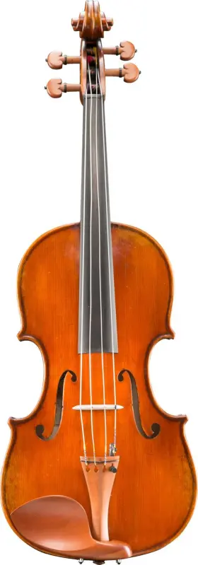 Va40516s Eastman Va405 Andreas Intermediate Viola - 16 Inches