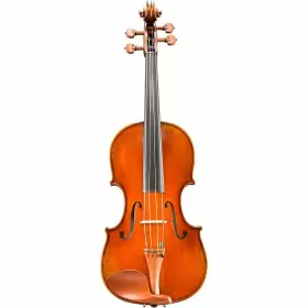 Va40565sbc Eastman Va405 Andreas Series Student Viola Outfit 16.5 Inch