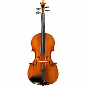 Va60165sbc Eastman Va601 Albert Nebel Series Advanced Viola Outfit 16.5 Inch