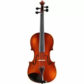 Vl30544sbc Eastman Andreas Vl305 Series Violin Outfit With Case And Bow 4/4