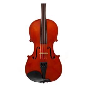 Maple Leaf Strings Mls110va14 14 Inch Viola Outfit
