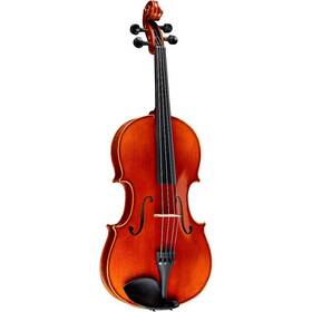 Ren Wei Shi Rwsvaacii14 Academy Ii Series Viola Outfit 14 Inch