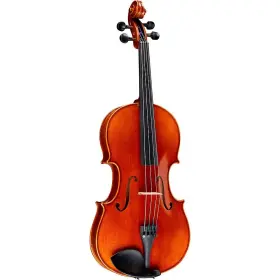 Rwsvaacii15 Ren Wei Shi Academy Ii Series Viola Outfit 15 Inch