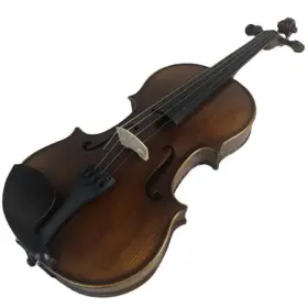 Se54002 Scmc Matte Viola Solid Wood Maple Children And Adults Practice